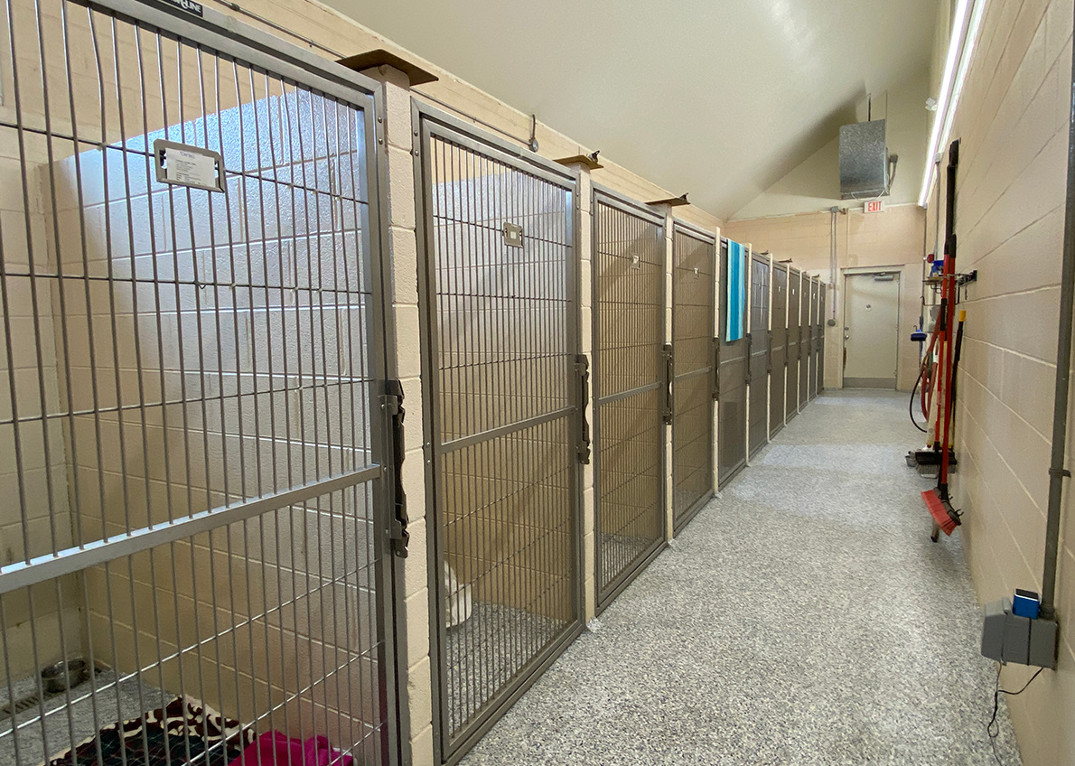 Hanging Rock Animal Hospital Hughes Associates Architects & Engineers